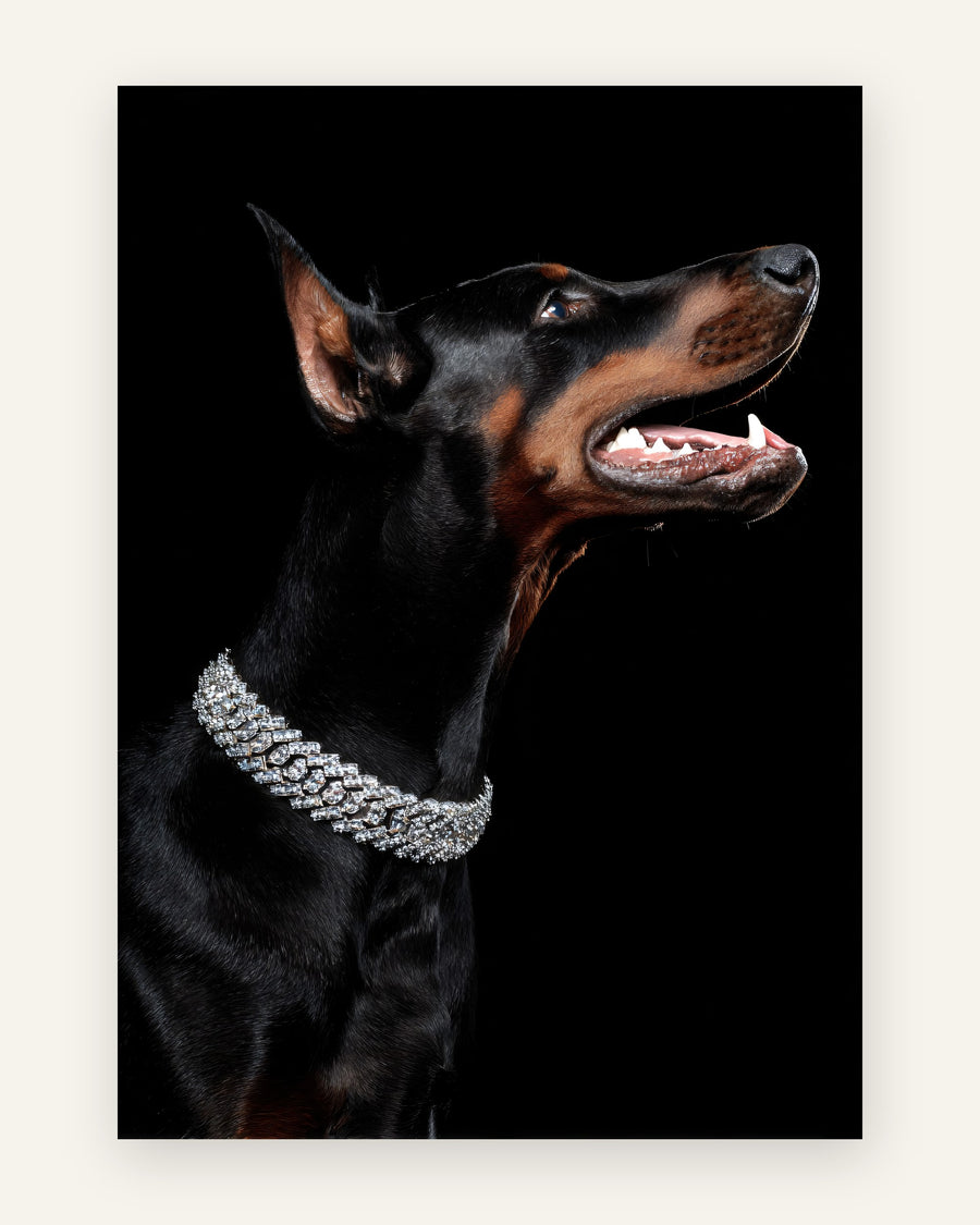 Fotorealistisk plakat med sort-brun dobermann i profil med et funklende diamanthalsbånd på sort baggrund