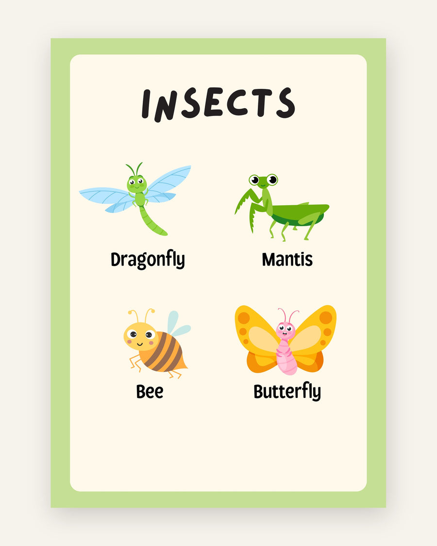 Børneplakat med insekter læringsplakat i friske farver til børneværelset
