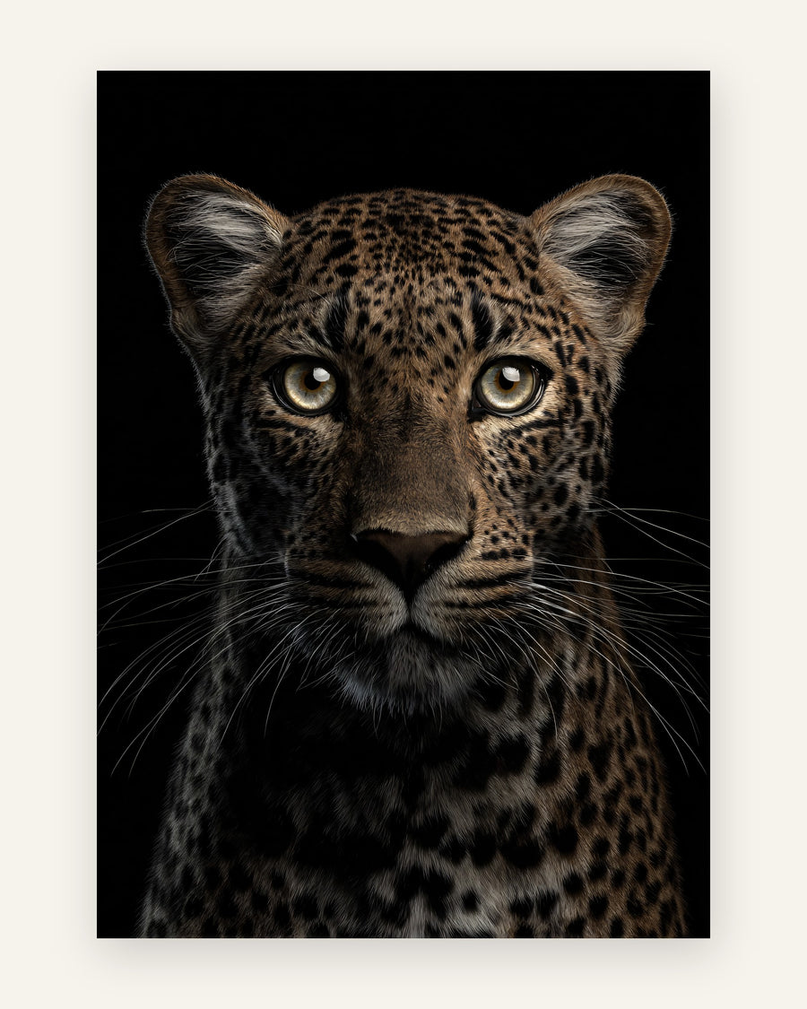 Børneplakat med leopardens blik i varme jordfarver til børneværelset