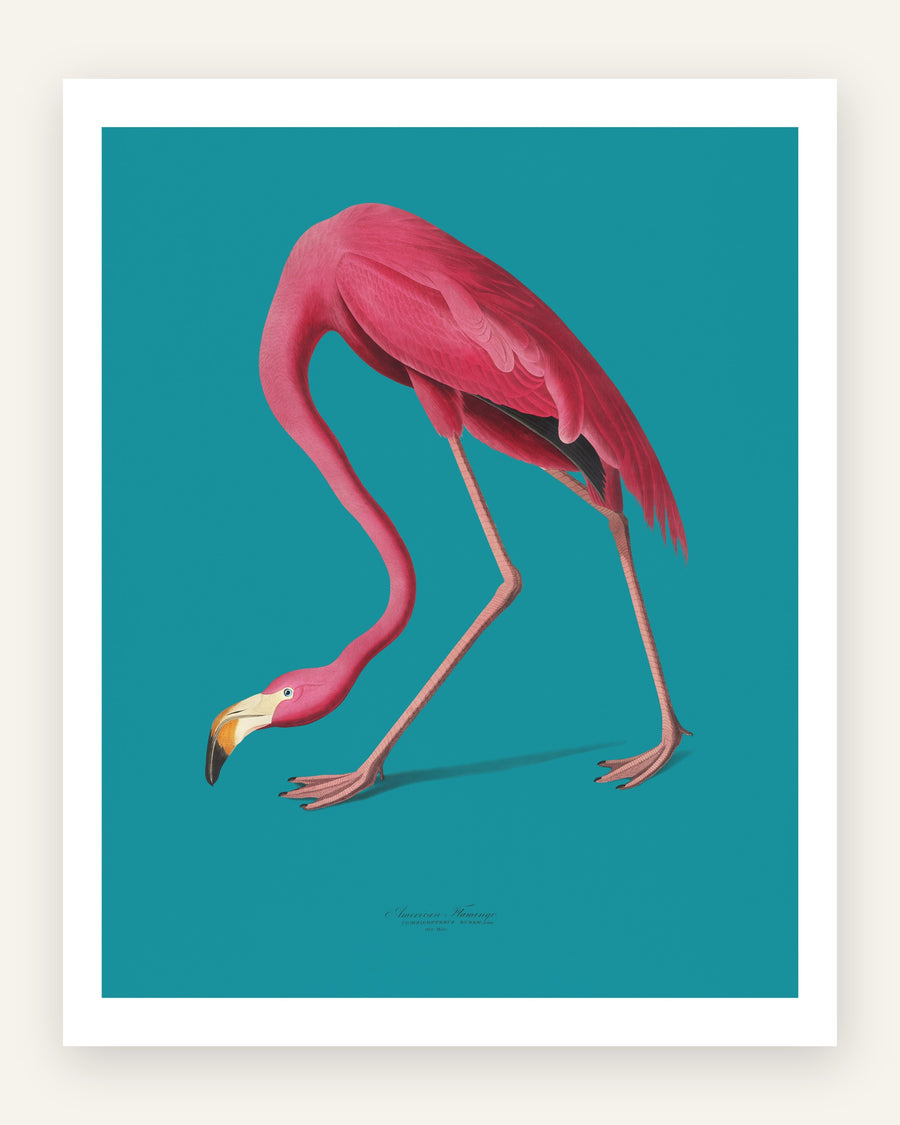 Børneplakat med pink flamingo på petrol til børneværelset