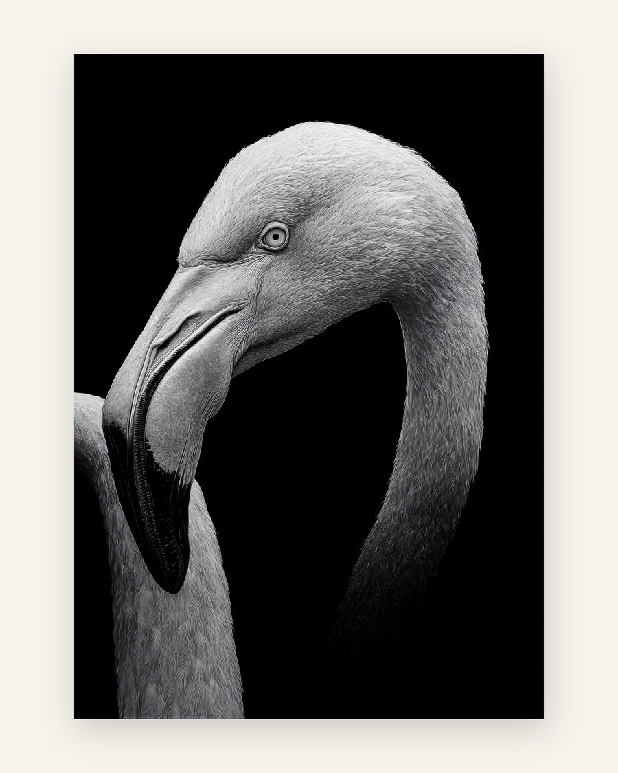 Plakat med sort-hvid flamingo i sort-hvid