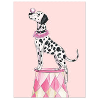 Dalmatiner show Plakat