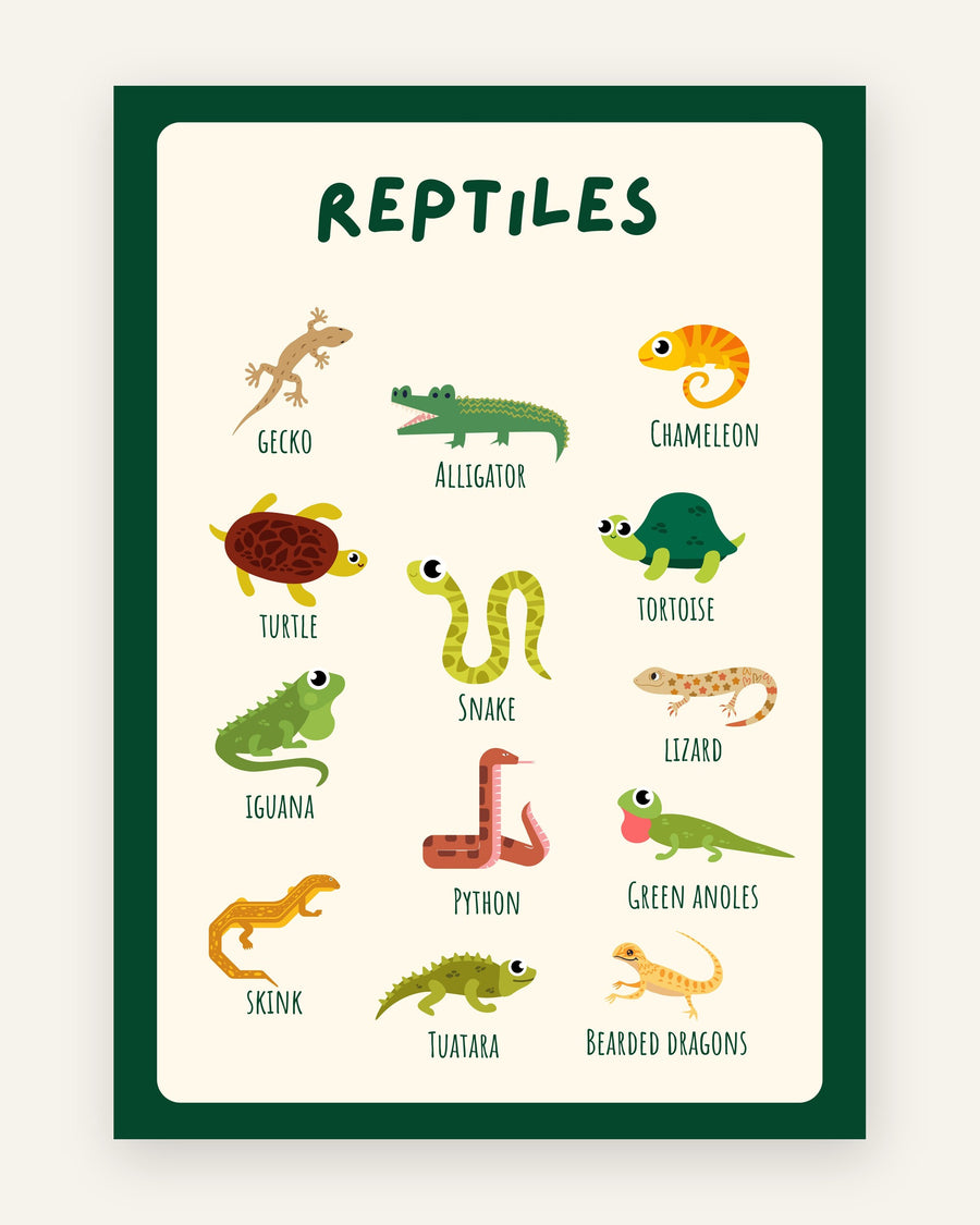 Børneplakat med navngivne tegneseriekrybdyr som gecko, alligator og kamæleon i mange farver med grøn ramme til børneværelset