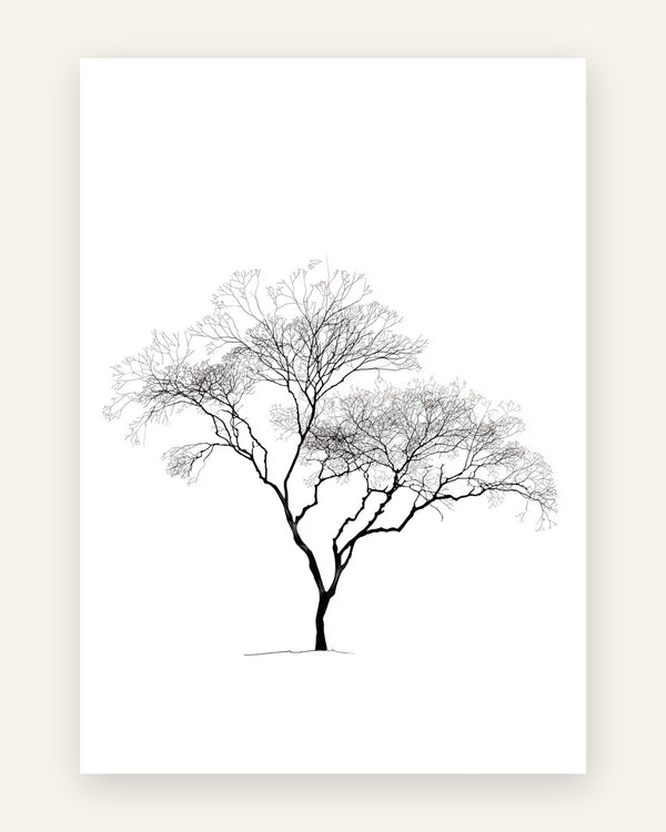 Minimalistisk plakat med et bladløst træ med bred, udbredt krone tegnet i fine sorte streger på ren hvid baggrund