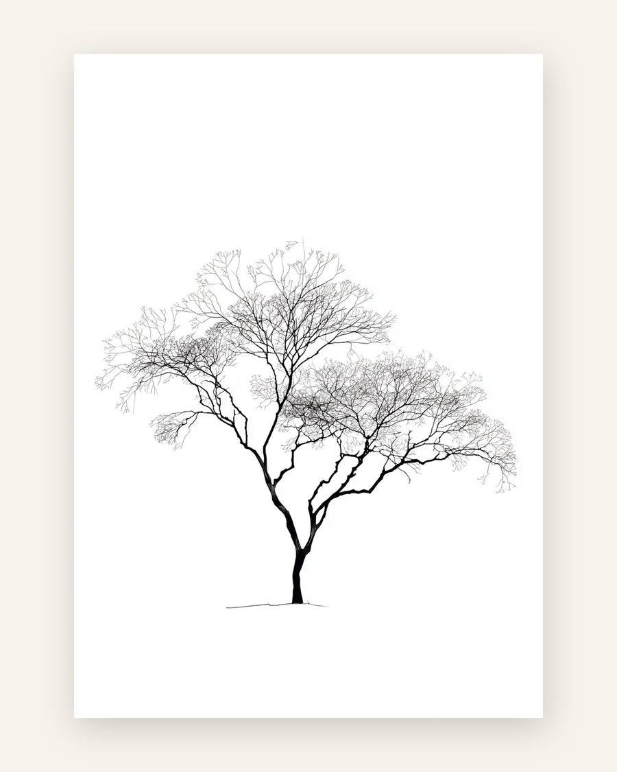 Minimalistisk plakat med et bladløst træ med bred, udbredt krone tegnet i fine sorte streger på ren hvid baggrund