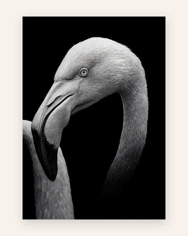 Plakat med sort-hvid flamingo i sort-hvid